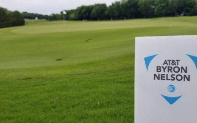 Player Safety at the Nelson